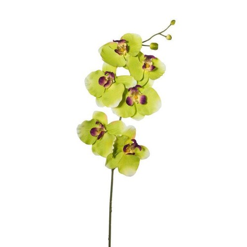 Kunstblume phalaenopsis - kunstblume,