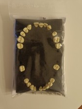 NEU Frasaco PA-Zähne A-PB Z