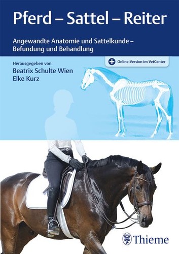 Pferd sattel reiter - sattel,
