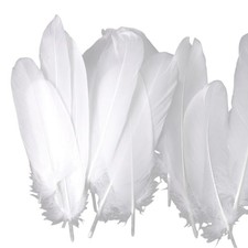 100pcs Bright Craft Feather