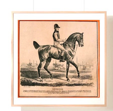 Vintage Pferd Reiter Druck