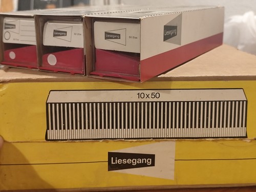 13x liesegang - 13x,
