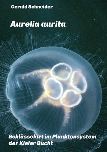 Aurelia aurita gerald - aurelia,
