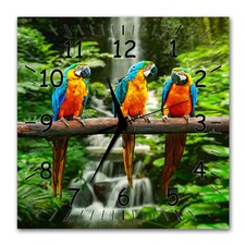 BM Wanduhr 30 cm x 30 cm leises Uhrwerk Quarzuhrwerk Papageien Vögel 9486-1 SZ