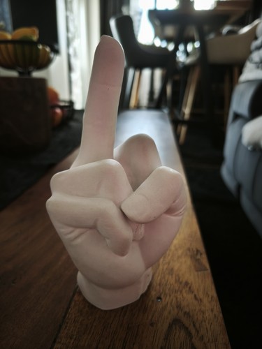 Hand mit stinkefinger