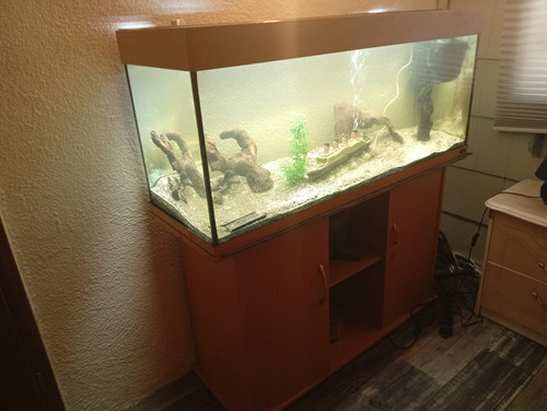 Aquarium 120 mit - cm,