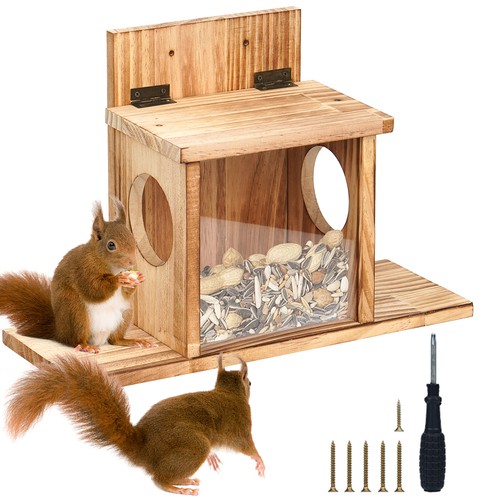 Eichhörnchen futterhaus - eichhörnchen,