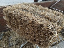 Kleine Weizen Strohballen