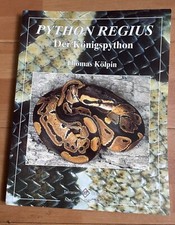Python Regius- Der Königspython
