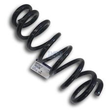 Feder vorne, front Coil Spring