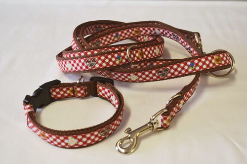 Hundehalsband leinen set - leinen,