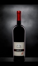 Trocken Merlot Rotwein