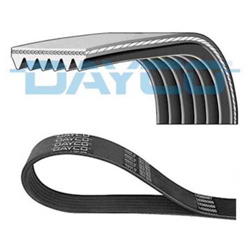 Dayco keilrippenriemen für - dayco,