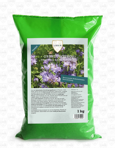 Linsor phacelia gründünger - phacelia,
