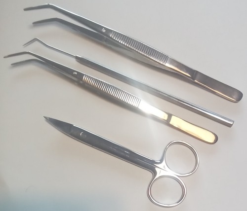 4er set zahnsonde fig - 4er, set+zahnsonde