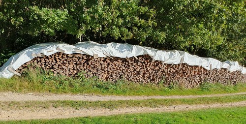 Brennholz fichte trocken - brennholz,