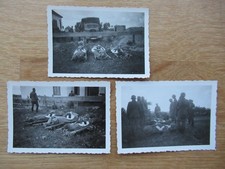 3 traurige alte Fotos deutsche