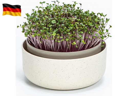 Urbalive große keimschale - urbalive,