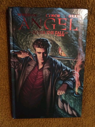 Angel after the fall volume - the,