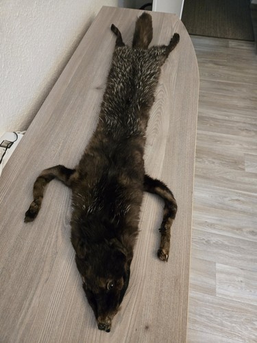 Schwarze echtpelz fuchs - echtpelz, stola