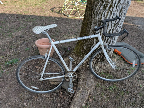 Fahrrad singlespeed fixie - singlespeed,