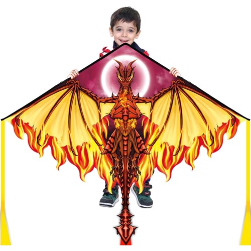 Drachen kinder erwachsene - drachen,