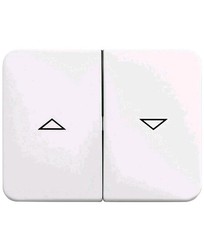 Busch-Jaeger 1785 JA-24G Wippe