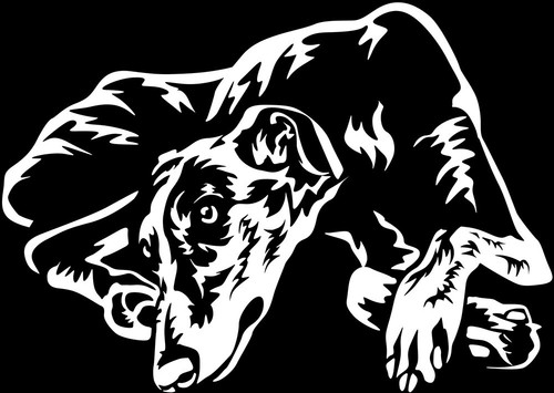 Galgo windhund aufkleber - galgo,