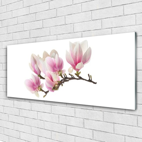 Glasbilder wandbild druck auf - glasbilder,