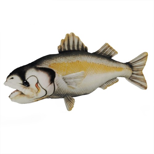 Plüsch barsch 37cm - barsch,