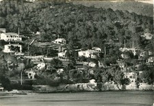 Karte LE LAVANDOU Aiguebelle L'Hôtel du Dauphin Vert Mitten im Pinienwald