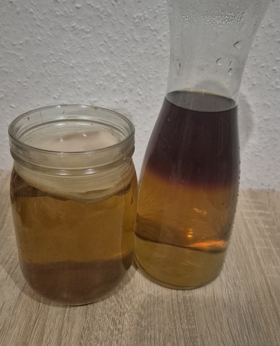 Kombucha scoby starter - kombucha,