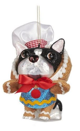 Französische bulldogge - französische, im