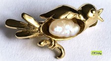 Goldbrosche vogel auf einem - -,