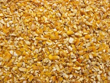 Bruchmais 25 kg Mais gebrochen Maisbruch Maisschrot Geflügelfutter Nager Pferde