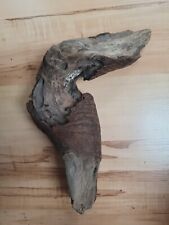 Ast gebogen m.Rinde selten Unikat Skulptur Schwemmholz Treibholz 26 x 7 x 7 cm