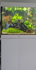 Aquarium Juwel  Lido LED 200 einschl. Technik, mit Unterschrank
