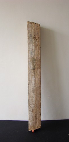 Treibholz schwemmholz balken - treibholz,