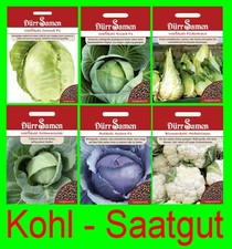 Weißkohl Blumenkohl Blaukohl