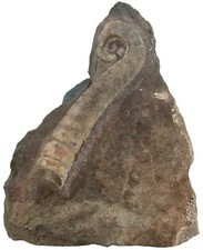 Ordovizium  Lituites lituus  Nautilus  Orthoceratoida  Öland  Schweden  122-8