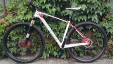 Specialized Stumpjumper Carbon Hardtail Mountainbike 12v