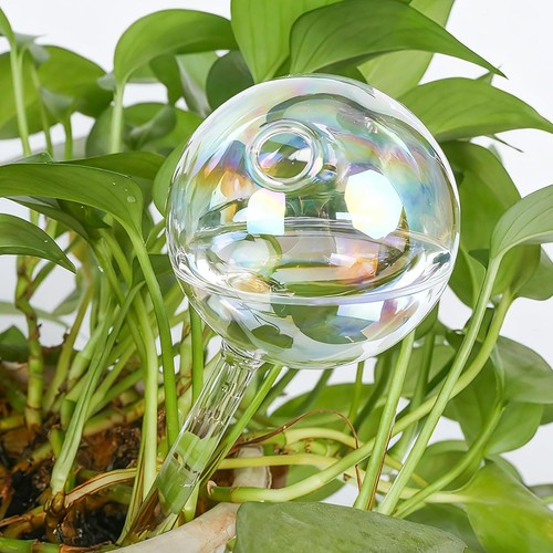 Bewässerungskugeln glas 150ml - bewässerungskugeln,