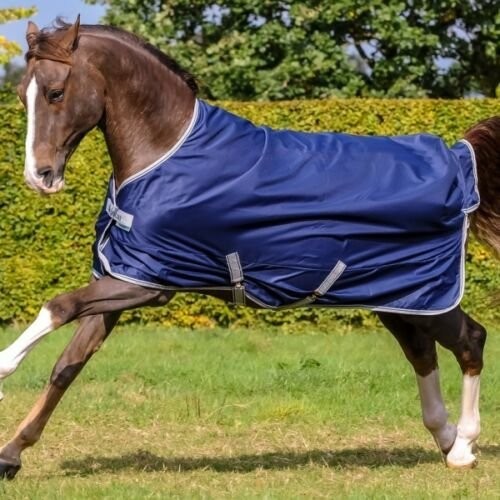 Bucas freedom turnout light - bucas,