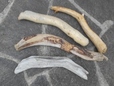 4x besondere Skulptur Schwemmholz Treibholz Figur Tier Schlange Deko 46-56 cm