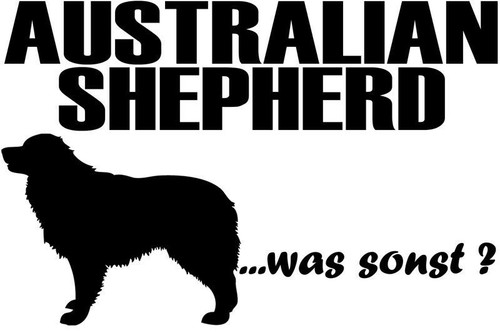 Aufkleber australian shepherd - aufkleber,