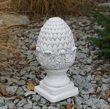 Pinienzapfen Zapfen Zirbelnuss