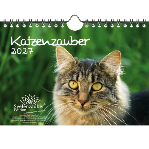 Katzenzauber din kalender - katzenzauber, a5
