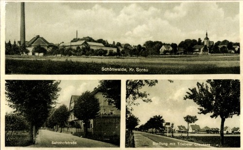 Podlesie schönwalde bei - podlesie,
