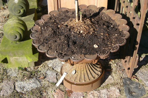 Vase pflanzgefäß blumentopf - pflanzgefäß,