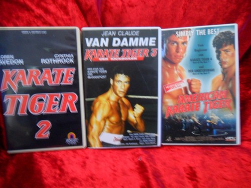 Karate tiger 3 american - tiger, 2